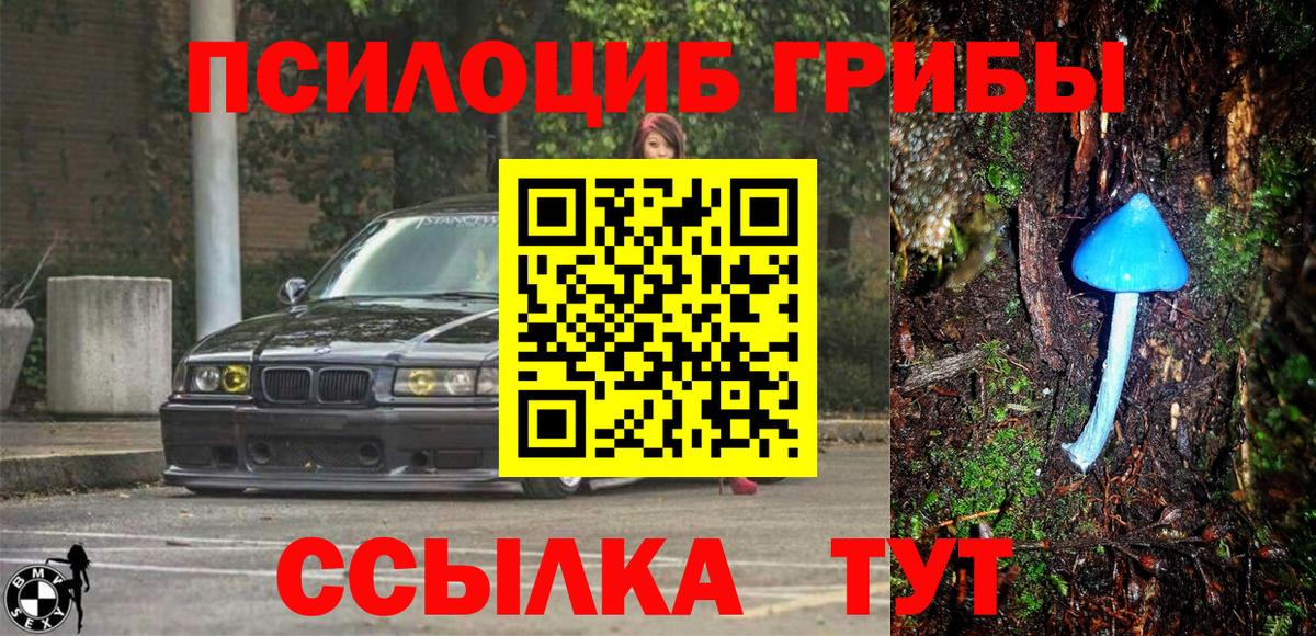 Михайловка  Псилоцибиновые грибы ЛСД  Галлюциногенные грибы GOLDEN TEACHER  Вход с VPN 